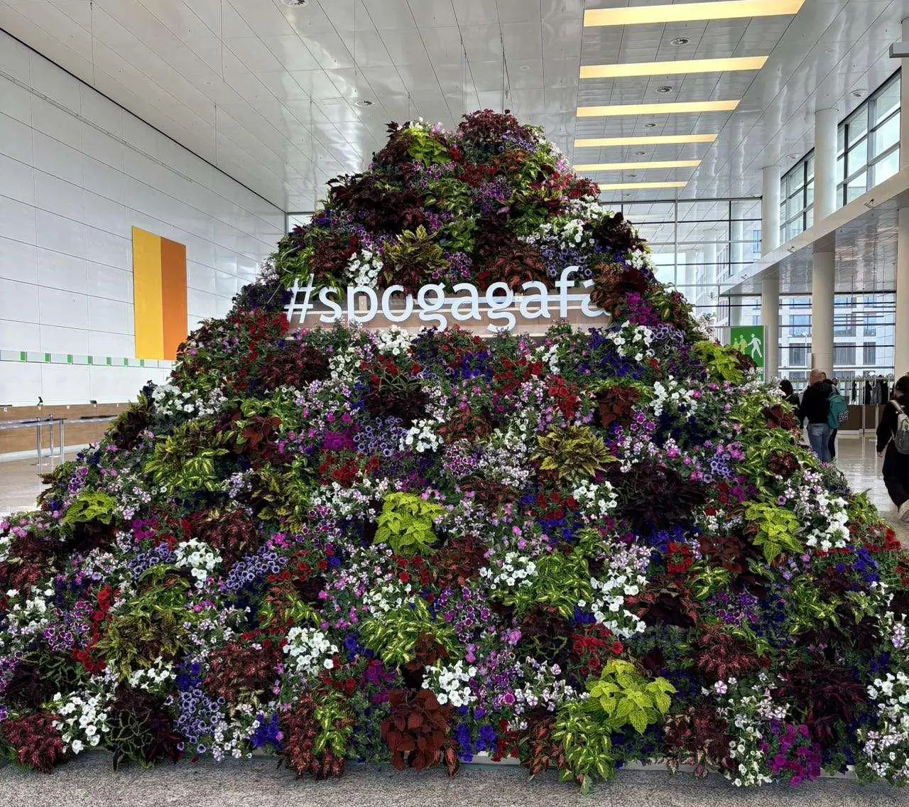 DBB showcased new products at the SPOGA+GAFA 2024 exhibition in Germany, attracting numerous customers 4 Cologne Exhibition Germany0011 1